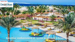 Desert Rose Resort 5*, Хургада, Египет