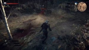 Witcher 3 E3 2014 Modded Gameplay