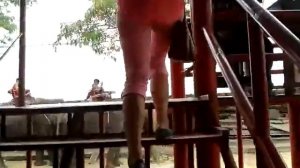 паттайя.прогулка на слонах