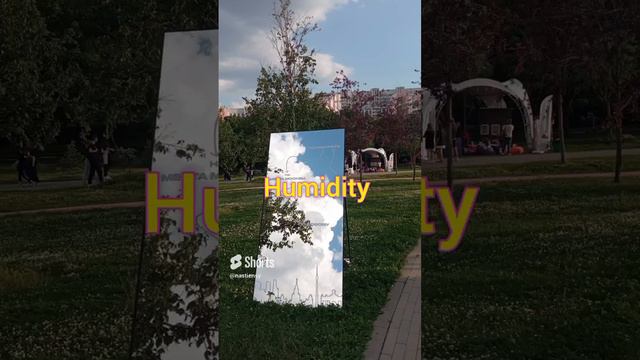 5 Summer words