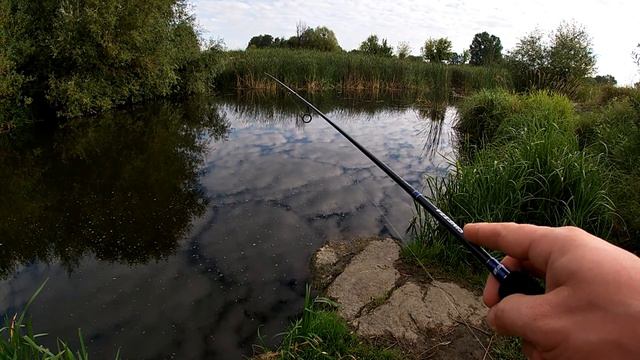 Щука в ЖАБОВНИКЕ на ЖАБУ. смотреть онлайн