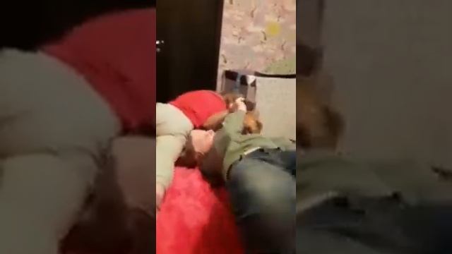 Амстафф и дети смотреть онлайн