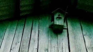 Дачная милота