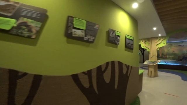 БОБРОВЫЙ ГОРОДОК || ВОРОНЕЖСКИЙ ЗАПОВЕДНИК смотреть онлайн