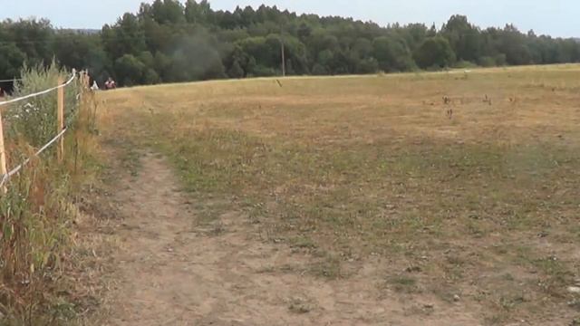 Начало дня: купание лошадей, быт. смотреть онлайн