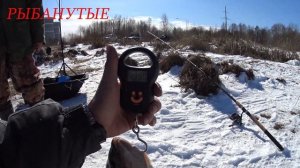 Чудо-Озеро Удомля. Один на озере. Трофейная Телапия.Русская рыбалка на фидер весной.