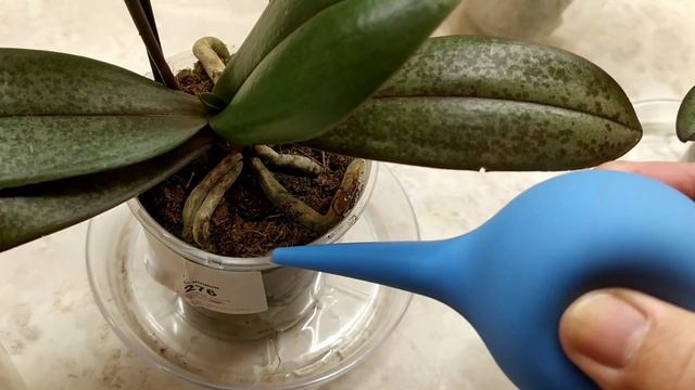 Пополнение моей коллекции. Новиночки. Профилактические мероприятия??? смотреть онлайн