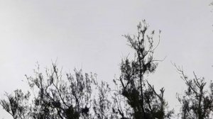 Путешествие по ЮАР. Дурбан.