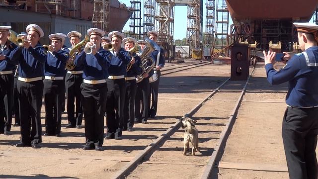 Оркестр играет, собака подпевает. The orchestra plays, the dog sings. смотреть онлайн