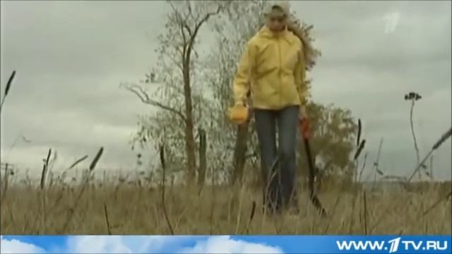 Запрет на поиск монет смотреть онлайн