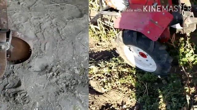 Изготовили чесноко-копалку.