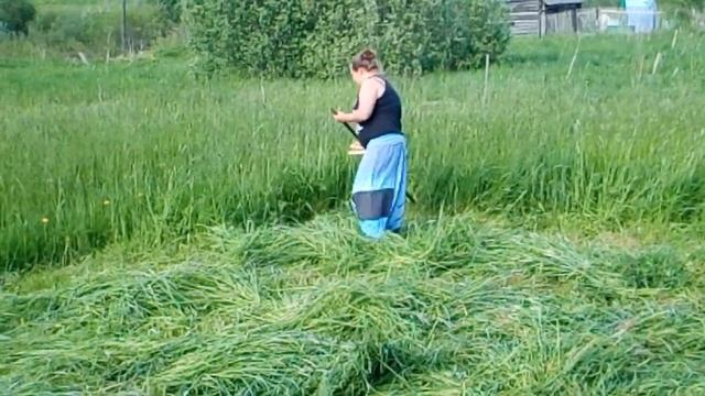 Коса литовка в женских руках. смотреть онлайн