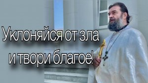 Правила счастливой жизни (проповедь от 20.08). Отец Андрей Ткачёв