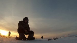 Ловля крупного окуня на балансир по первому льду. Отличный клёв!  Трофеи!