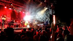 Wolfgang Ambros Es Lebe der Zentralfriedhof