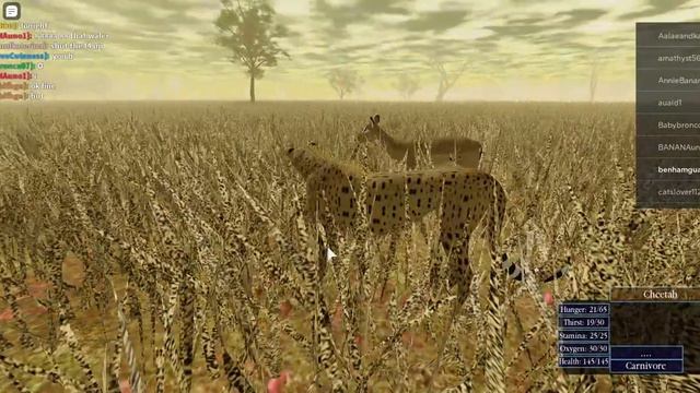 Wild Savannah (Roblox) Adventures With Leo | Ep: 1 смотреть онлайн