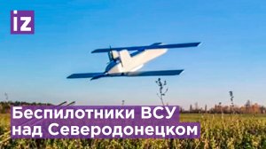 "Это камикадзе? - Разные птички используют": боец НМ ЛНР - о дронах ВСУ / Известия