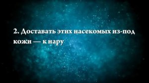 К чему снятся двухвостки - Онлайн Сонник Эксперт