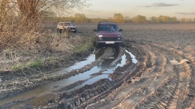Нива за 100к ?♂️ лайт покатушка, сток Нивас это ужас! ? смотреть онлайн