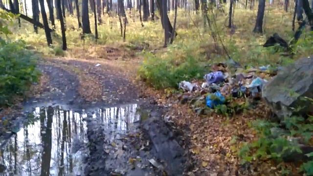 Кристально чистая вода. Подводные съемки. Осень.