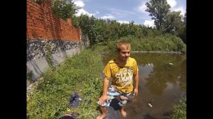 Результат спустя 2 месяца запуска австралийських раков в пруд