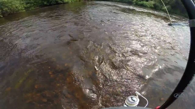 #Gopro#Река Ижма#Республика Коми# смотреть онлайн