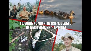 Голавль ломит - гнутся "шведы", ну, а мормышинг - ерунда!