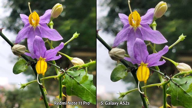 Redmi Note 11 Pro VS Samsung Galaxy A52s Camera Comparison | Redmi Note 11 Pro Camera Review смотреть онлайн