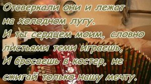 Потому что нельзя... караоке под гармонь.