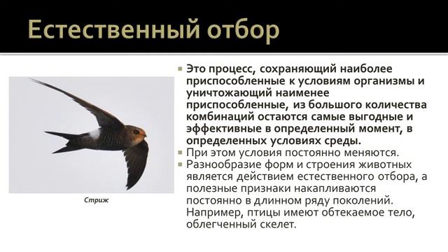 Биология 7 класс. Урок 44