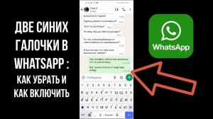Синие галочки в Ватсапе: как убрать и как включить две синие и серые галочки в Whatsapp