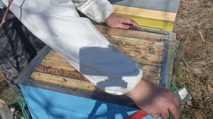 Улья ППС и ППУ как прошла зимовка. Пчеловодство. Март.