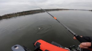 Подсак.........