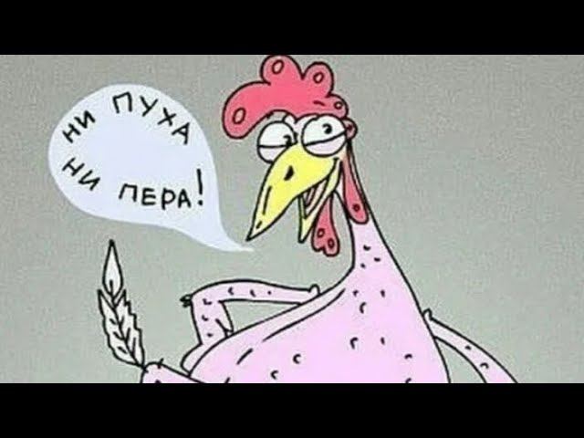 #акции под дивиденды Курочка по зёрнышку клюёт