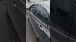 Объезд препятствия, парковка задним ходом