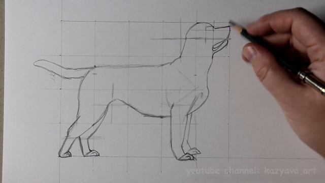Как нарисовать собаку породы ЛАБРАДОР-РЕТРИВЕР карандашом поэтапно. Макстер-класс. смотреть онлайн