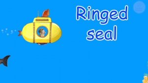 The ABC Sea Song - An alphabet animal song