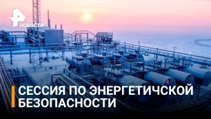 Финальный день ПМЭФ завершился сессией по энергетической безопасности / РЕН Новости