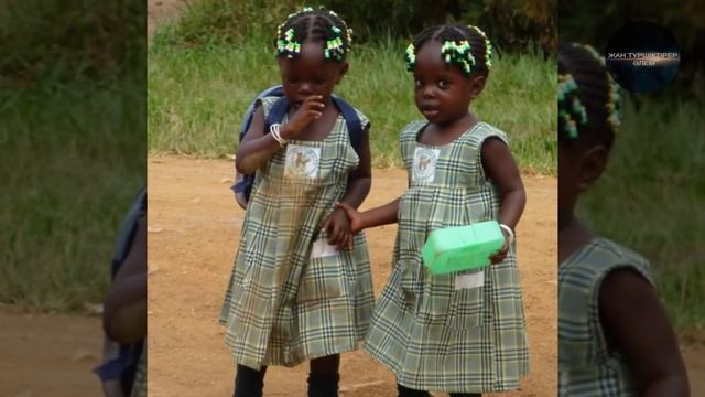 АФРИКАЛЫҚТАРДЫҢ АДАМ ШОШЫРЛЫҚ ДӘСТҮРЛЕРІ смотреть онлайн