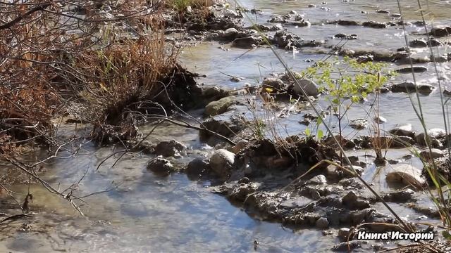 "Ваша спиногрызка ради маткапитала забеременела" орала в ресторане свекровь на бедных сватов из сел смотреть онлайн