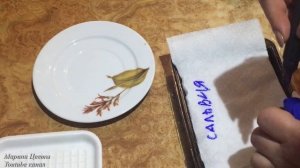 Сальвия. Стерильная рассада. Ваш успех !!!