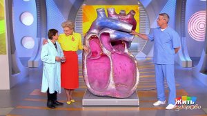 Три теста, чтобы не умереть во сне.. Жить здорово! Фрагмент выпуска от 27.01.2017