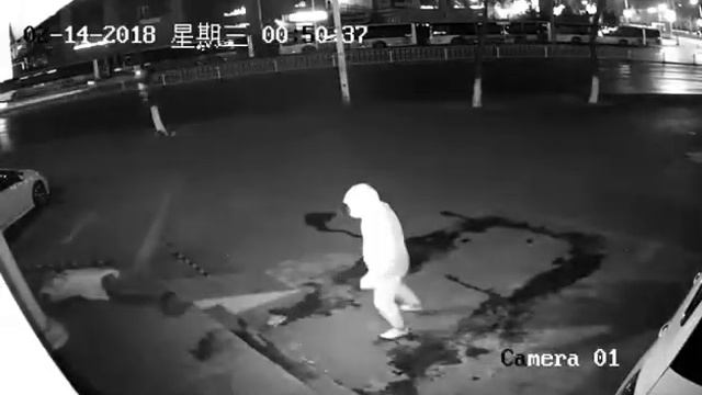 Камера Видеонаблюдения , неудачная попытка поджога Магазина смотреть онлайн