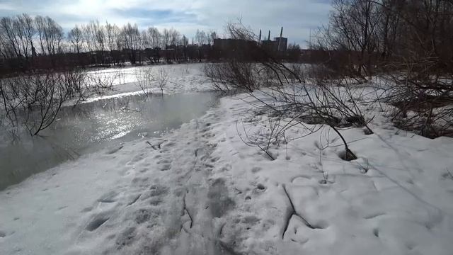 Вятские Поляны "Тропа здоровья"  март 2020.