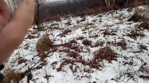 Охота на бобра часть 2