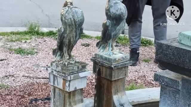 Ольга Брендовна.Отбеливающие полоски,макияж,муж смотреть онлайн