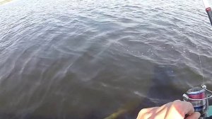 Щука 2.5 кг. Вываживание без подсака