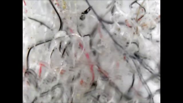 Электронный микроскоп ESPADA 1000. Обзор и первые опыты. смотреть онлайн