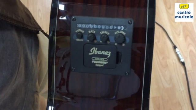 Ibanez AELFF10 смотреть онлайн