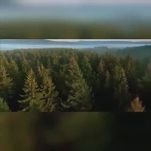 ПРИШЛА К ВАМ ИЗ ДРЕВНОСТИ…ВЕДЬМИНА ИЗБА ▶️ ИНГА ХОСРОЕВА. смотреть онлайн